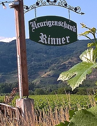 Wine tavern Rinner, © Familie Rinner Wine tavern Rinner, © Familie Rinner