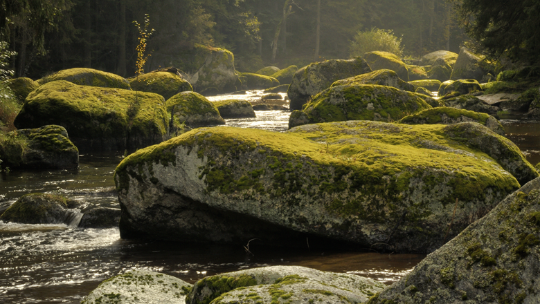 Kamp Valley ("Kamptal" in German) between Zwettl and Roiten, © Matthias Schickhofer Kamp Valley ("Kamptal" in German) between Zwettl and Roiten, © Matthias Schickhofer