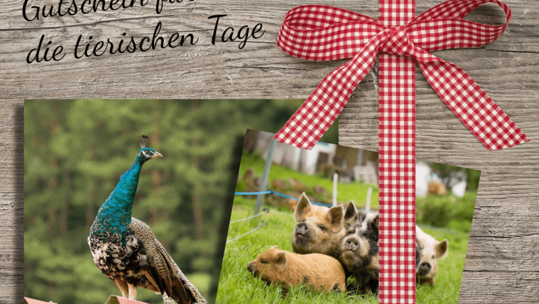 Voucher for the animal days, © Edermühle Voucher for the animal days, © Edermühle