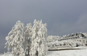 Winter on the Tulbingerkogel, © F. Bläuel GesmbH Winter on the Tulbingerkogel, © F. Bläuel GesmbH