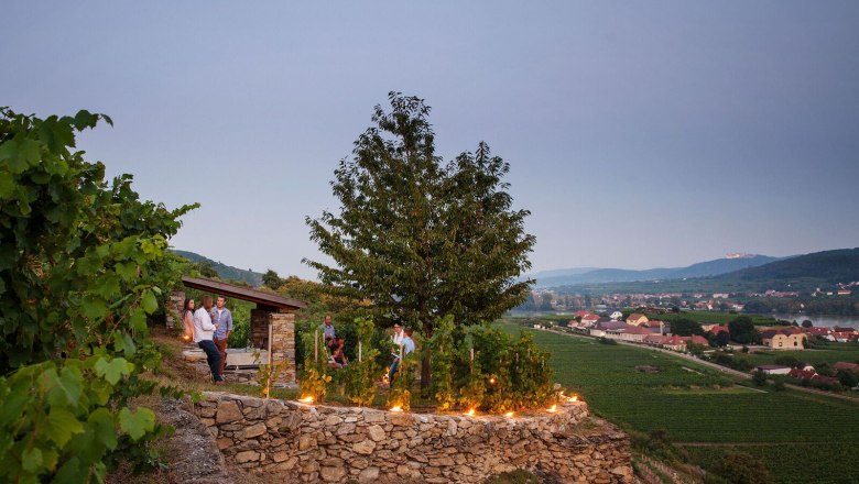 weingarten_daemmerung_c_urbanushof-_-leonhard-hilzensauer_preview, © Leonhard Hilzensauer weingarten_daemmerung_c_urbanushof-_-leonhard-hilzensauer_preview, © Leonhard Hilzensauer