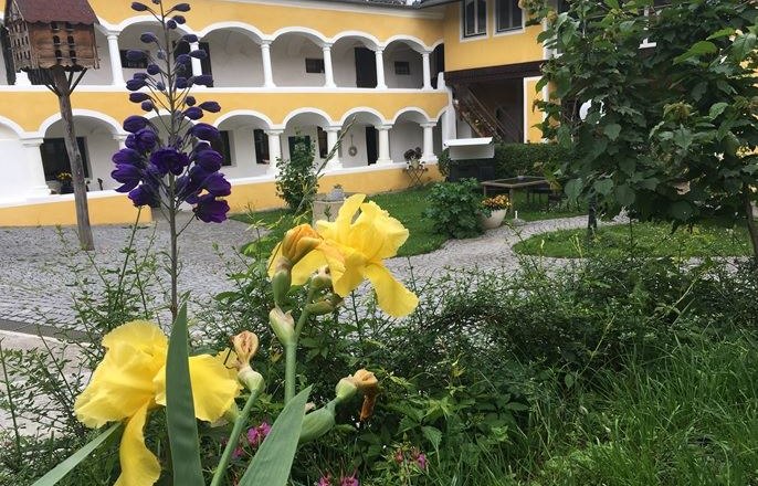 Winery Arkadenhof, © Maria Hausdorf Winery Arkadenhof, © Maria Hausdorf