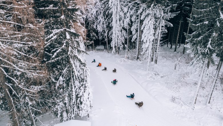 Tobogganing on the Semmering, © Semmering Hirschenkogel Tobogganing on the Semmering, © Semmering Hirschenkogel