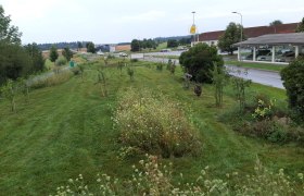 Naschplatzl Groß-Siegharts, © TVV Groß-Siegharts Naschplatzl Groß-Siegharts, © TVV Groß-Siegharts