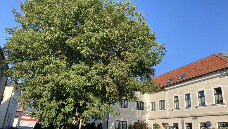 img_0341, © Frühstückspension Gerstbauer img_0341, © Frühstückspension Gerstbauer