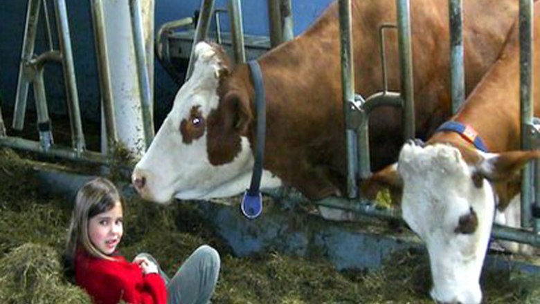 Our cowshed, © Familie Erber Our cowshed, © Familie Erber