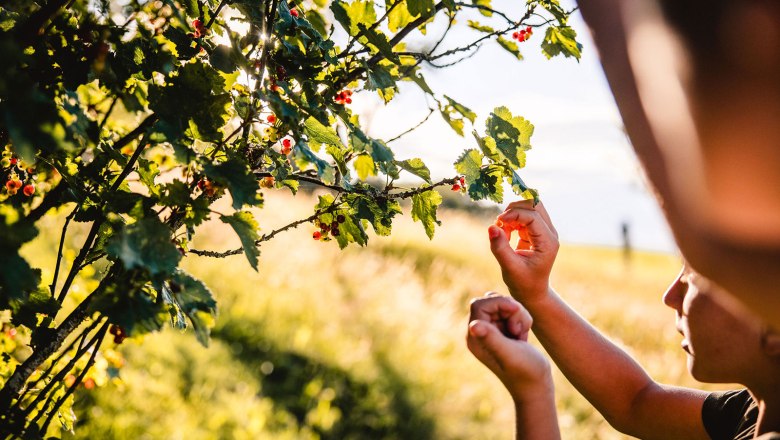 Nestelberg 17 (c)Marlene Schindlegger (57), © Sabine Wieser Nestelberg 17 (c)Marlene Schindlegger (57), © Sabine Wieser