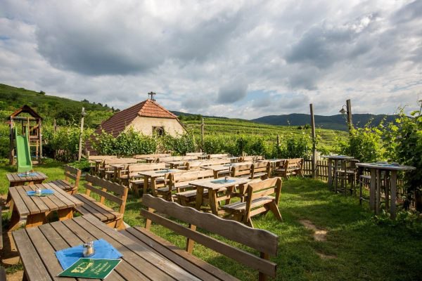 Höllmüller winery garden with wine tavern, © Familie Höllmüller Höllmüller winery garden with wine tavern, © Familie Höllmüller