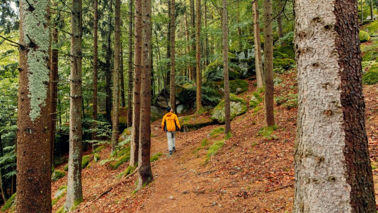 Druid path, © Creative Jungle Druid path, © Creative Jungle