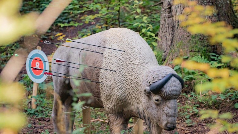 Targets of various sizes await the archers, © Ludwig Fahrnberger Targets of various sizes await the archers, © Ludwig Fahrnberger
