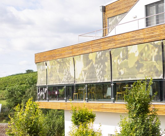 Vínny domicil Hagn, © Stefanie Winter Moderná budova s terasou a viničom v pozadí.