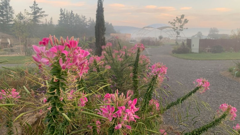 Along the way, © Oberleitner Gartenkultur Along the way, © Oberleitner Gartenkultur