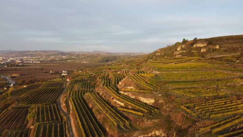 The Rohrendorfer Gebling vineyard, © Weingut Mittelbach The Rohrendorfer Gebling vineyard, © Weingut Mittelbach