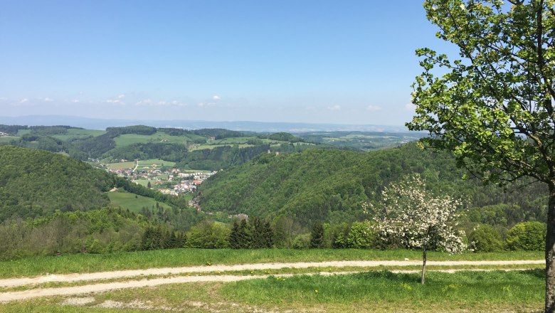 View vacation home Hochbrand, © Familie Haag View vacation home Hochbrand, © Familie Haag