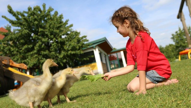 kerndlerhof_gaense, © Kerndlerhof kerndlerhof_gaense, © Kerndlerhof