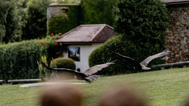 76_W4_Jugend_Stauseefischer&SchlossWaldreichs_WEB_A30A2839 © Waldviertel Tourismus, Matthias Streibel, © Waldviertel Tourismus, Matthias Streibel 76_W4_Jugend_Stauseefischer&SchlossWaldreichs_WEB_A30A2839 © Waldviertel Tourismus, Matthias Streibel, © Waldviertel Tourismus, Matthias Streibel