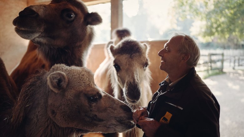 0070_Moststraße_Tierpark-Stadt-Haag_20250929-7641-001, © Moststraße, dochbodnliacht 0070_Moststraße_Tierpark-Stadt-Haag_20250929-7641-001, © Moststraße, dochbodnliacht