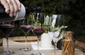 CM_Kellergasse_Prellenkirchen(c)Donau Niederösterreich_Barbara_Elser20251007_0012, © Donau Niederösterreich, Barbara Elser CM_Kellergasse_Prellenkirchen(c)Donau Niederösterreich_Barbara_Elser20251007_0012, © Donau Niederösterreich, Barbara Elser