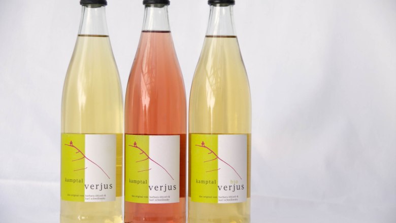 Kamp Valley ("Kamptal" in German) Verjus, © Weingut Barbara Öhlzelt Kamp Valley ("Kamptal" in German) Verjus, © Weingut Barbara Öhlzelt