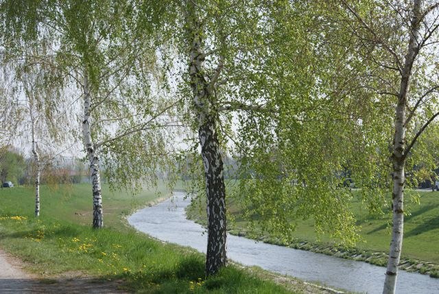 Surroundings, © Mag. Christiana Stöger Surroundings, © Mag. Christiana Stöger