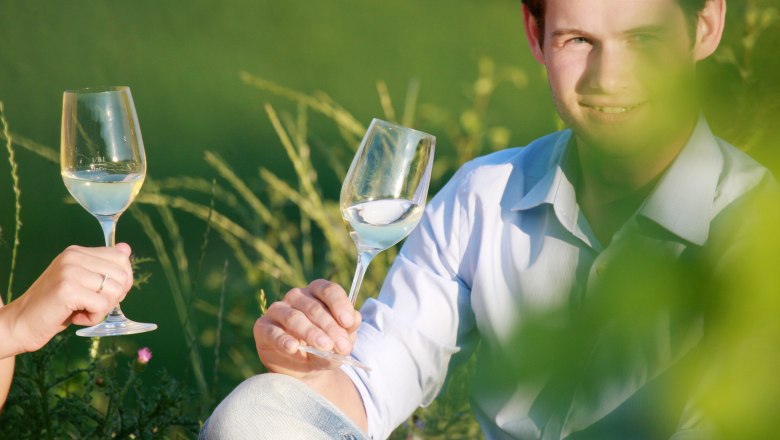 Traisental, © weinfranz.at Traisental, © weinfranz.at