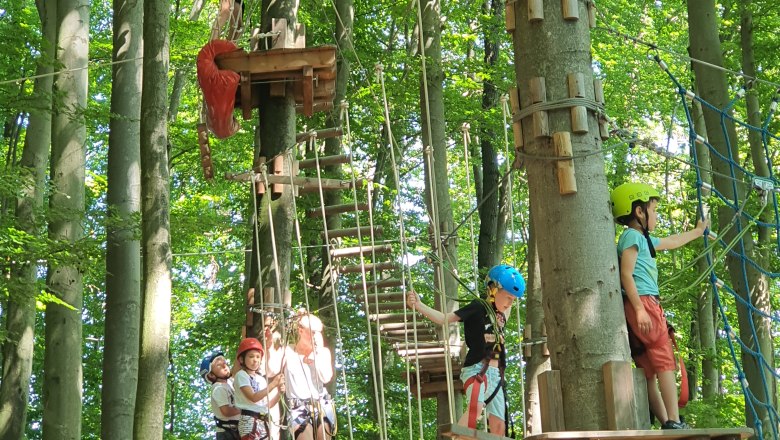 Purkersdorf climbing park, © Kletterpark Purkersdorf Purkersdorf climbing park, © Kletterpark Purkersdorf