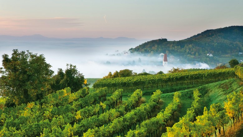 Jeseň v údolí Traisental, © schwarz-koenig.at Jeseň v údolí Traisental, © schwarz-koenig.at