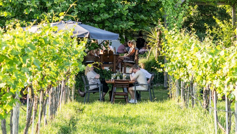 Wine tavern in the vineyard, © Stefanie Winter Wine tavern in the vineyard, © Stefanie Winter