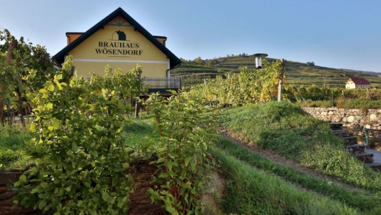 Brewery in Wösendorf, © Familie Friesenbichler Brewery in Wösendorf, © Familie Friesenbichler