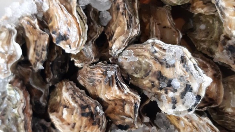 Ustryce, © Reef & Beef Ustryce, © Reef & Beef