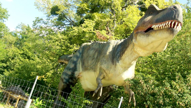 Dumba Park, © Dumba Park_Kopp Dumba Park, © Dumba Park_Kopp