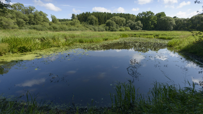 Lainsitz lowlands, © Matthias Schickhofer Lainsitz lowlands, © Matthias Schickhofer