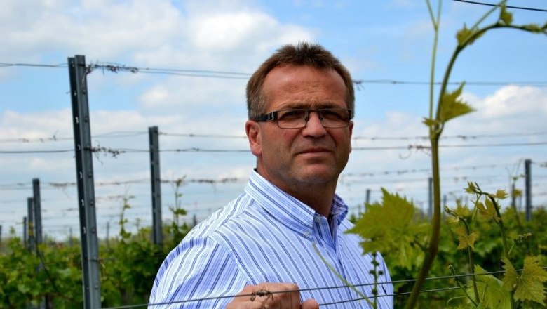 Winemaker Günter Weilinger, © Weingut Günter Weilinger Winemaker Günter Weilinger, © Weingut Günter Weilinger
