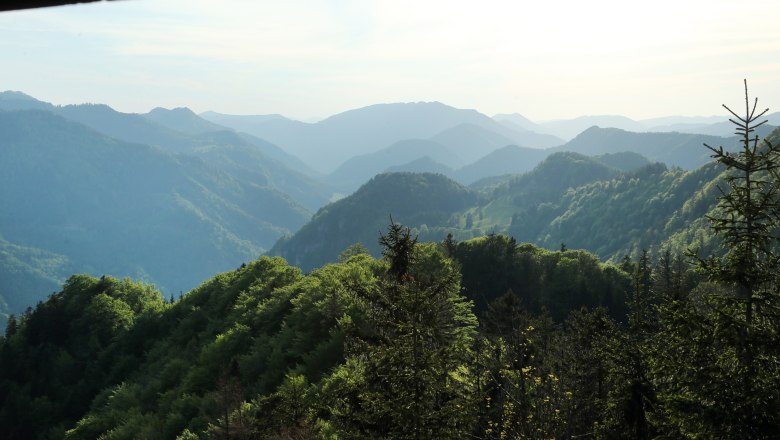 View from the Hochbärneck viewing platform, © weinfranz.at View from the Hochbärneck viewing platform, © weinfranz.at