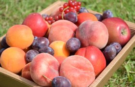 Fruit assortment, © Familie Schreiber Fruit assortment, © Familie Schreiber