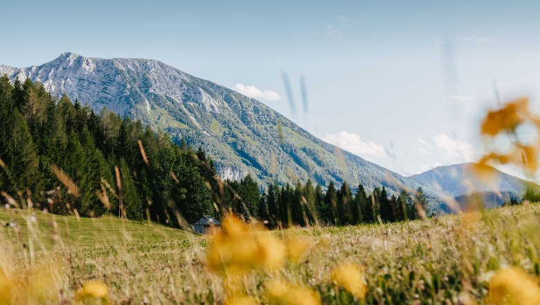 Nestelberg 17 (c)Marlene Schindlegger (39), © Sabine Wieser Nestelberg 17 (c)Marlene Schindlegger (39), © Sabine Wieser