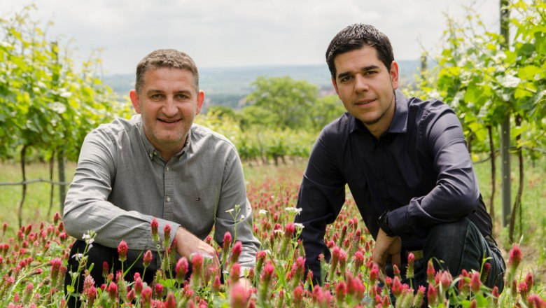 Lower Austrian State Winery, © NÖ Landesweingut Retz Lower Austrian State Winery, © NÖ Landesweingut Retz