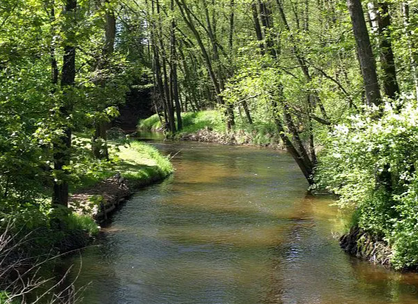 Fishing - Lainsitz - District II/1, © Stadtgemeinde Gmünd Fishing - Lainsitz - District II/1, © Stadtgemeinde Gmünd