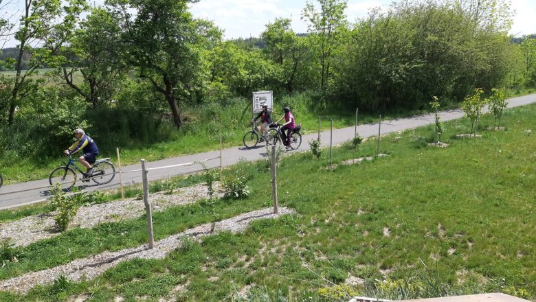 Naschplatzl Groß-Siegharts, © TVV Groß-Siegharts Naschplatzl Groß-Siegharts, © TVV Groß-Siegharts