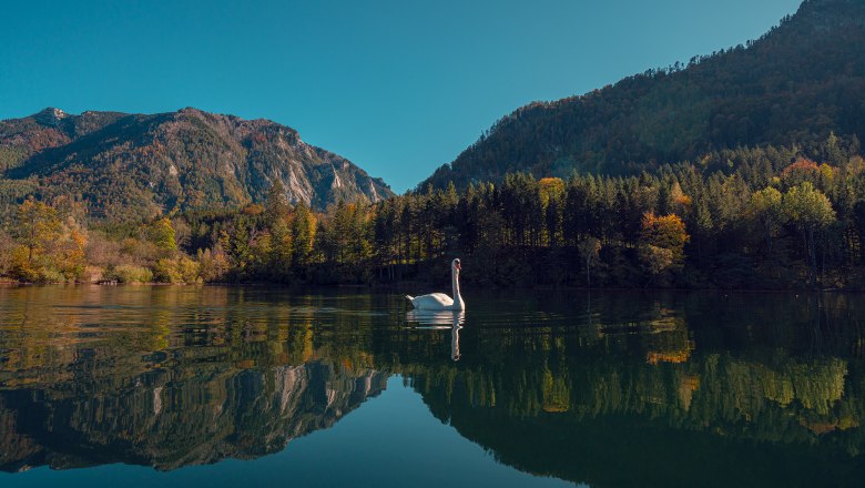 With a view of the only natural lake in Lower Austria, © Schlosstaverne Lunz/Martin Stellnberger With a view of the only natural lake in Lower Austria, © Schlosstaverne Lunz/Martin Stellnberger