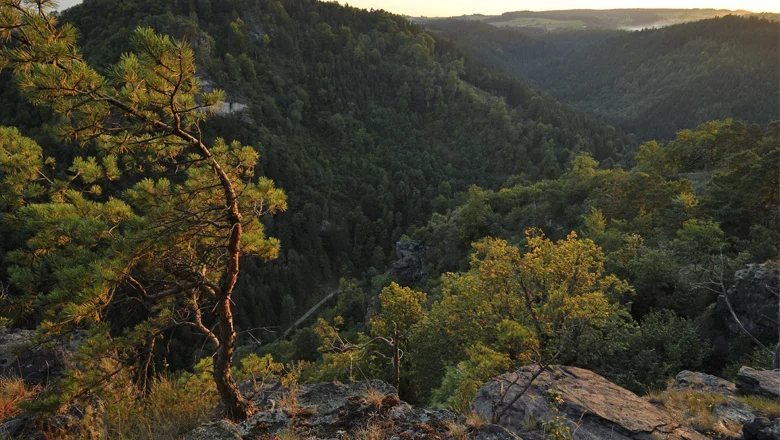 Wotansfels Krems Valley ("Kremstal Canyon" in German), © Matthias Schickhofer Wotansfels Krems Valley ("Kremstal Canyon" in German), © Matthias Schickhofer