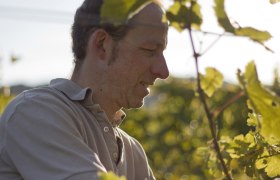 ... at work, © Theresa Plos ... at work, © Theresa Plos