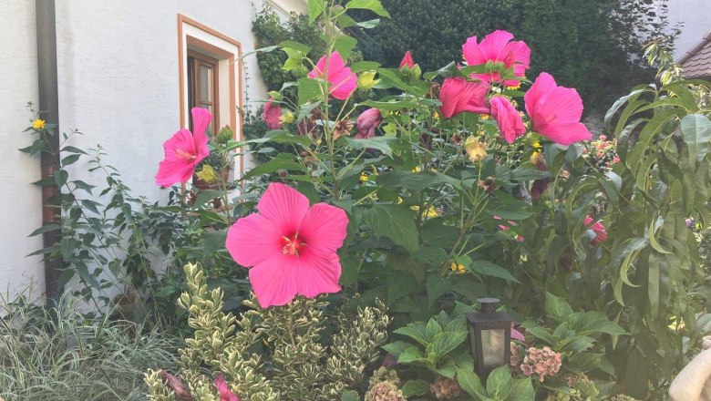 garden-at-renaissancehof-kerschner, © Mostviertel Tourismus, Eva Stern garden-at-renaissancehof-kerschner, © Mostviertel Tourismus, Eva Stern