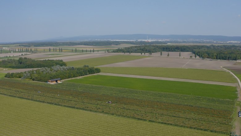 Marchfeld organic sea buckthorn, © Andel Film Marchfeld organic sea buckthorn, © Andel Film