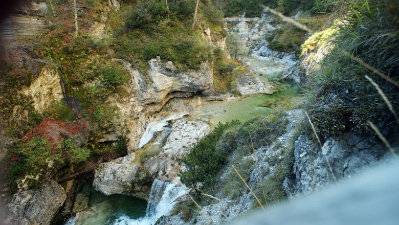 WF148846, © weinfranz.at WF148846, © weinfranz.at