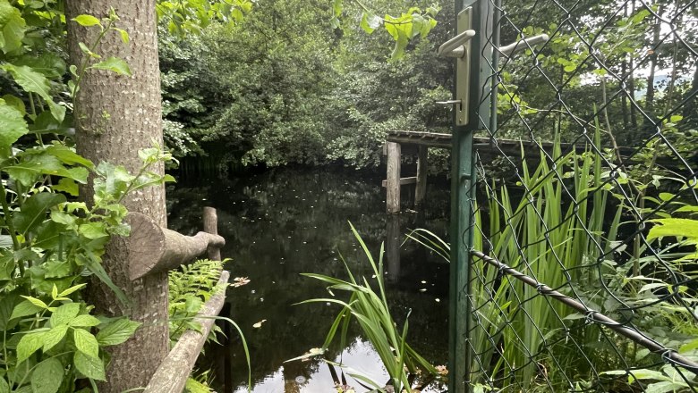 Private natural swimming pond on the farm grounds, © 1000Krauthof Private natural swimming pond on the farm grounds, © 1000Krauthof