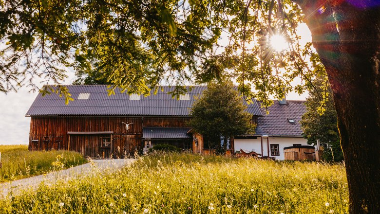 Nestelberg 17 (c)Marlene Schindlegger (42), © Sabine Wieser Nestelberg 17 (c)Marlene Schindlegger (42), © Sabine Wieser