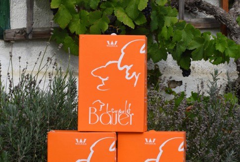 Viticulture Leopold Bauer, © Bauer Leopold Viticulture Leopold Bauer, © Bauer Leopold