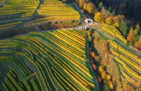 Das Rote Tor, © Markus Haslinger Das Rote Tor, © Markus Haslinger