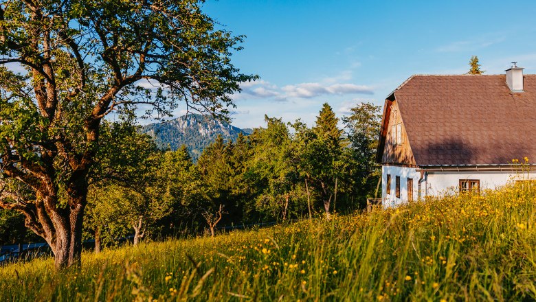 Nestelberg 17 (c)Marlene Schindlegger (47), © Sabine Wieser Nestelberg 17 (c)Marlene Schindlegger (47), © Sabine Wieser